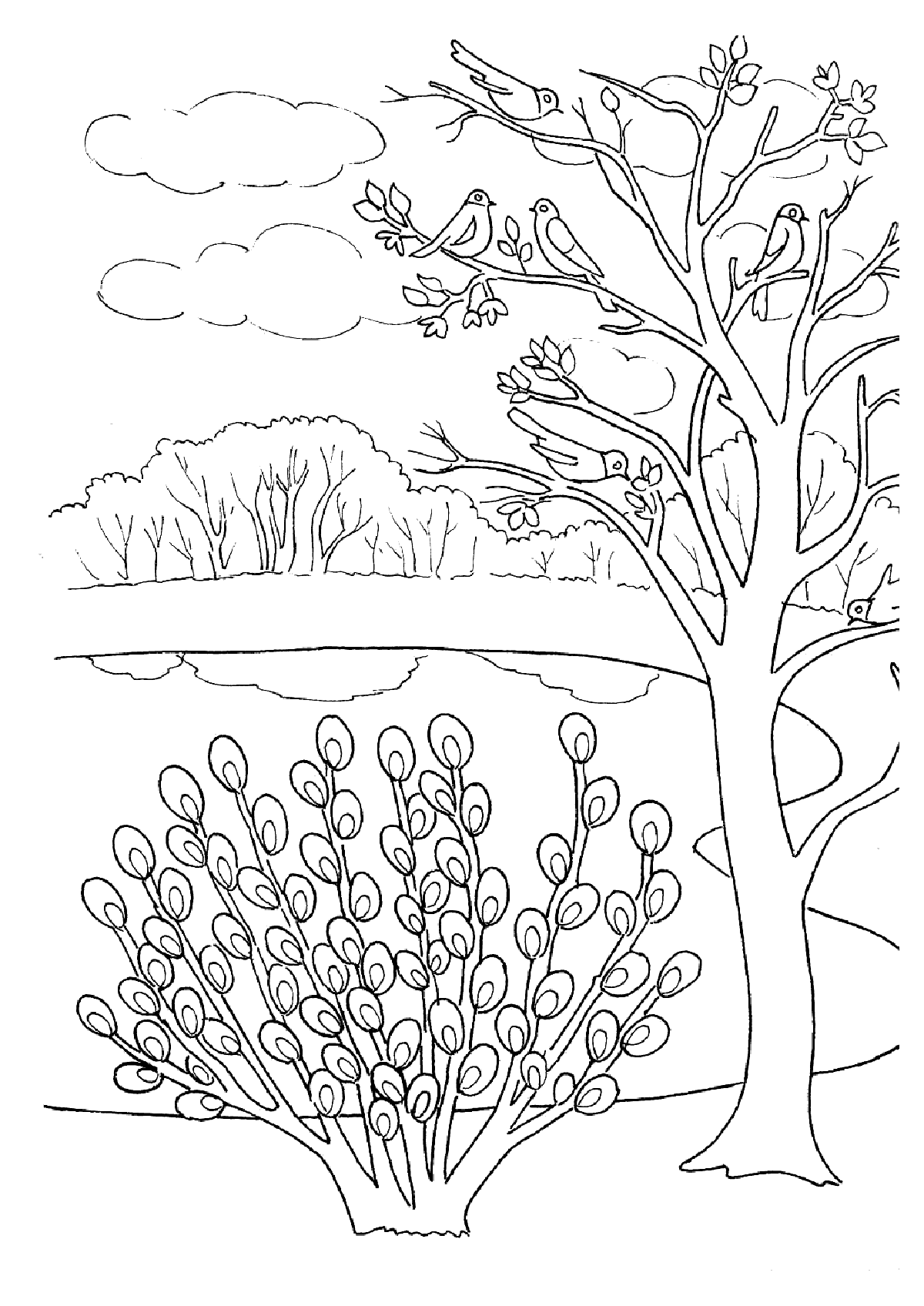 forest background coloring pages
