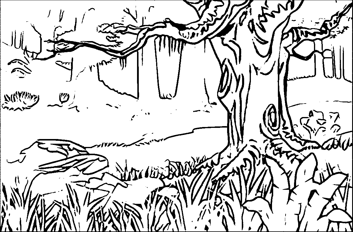 forest coloring pages for adults