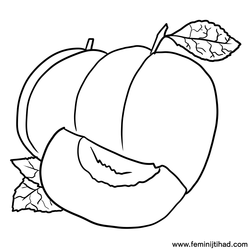 free apricot coloring page