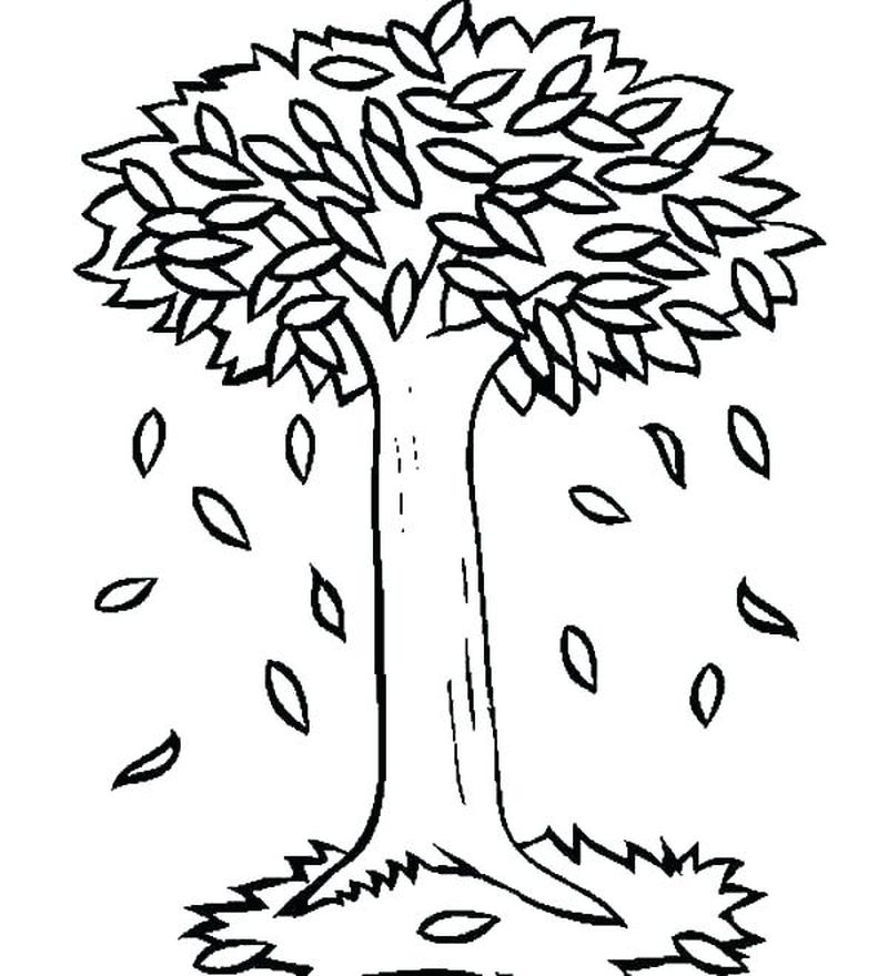 free autumn tree coloring pages
