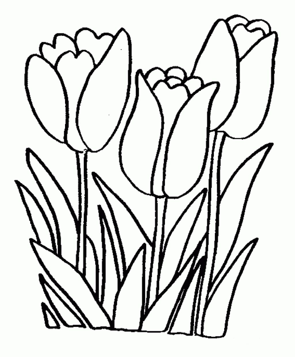 spring flower coloring pages free