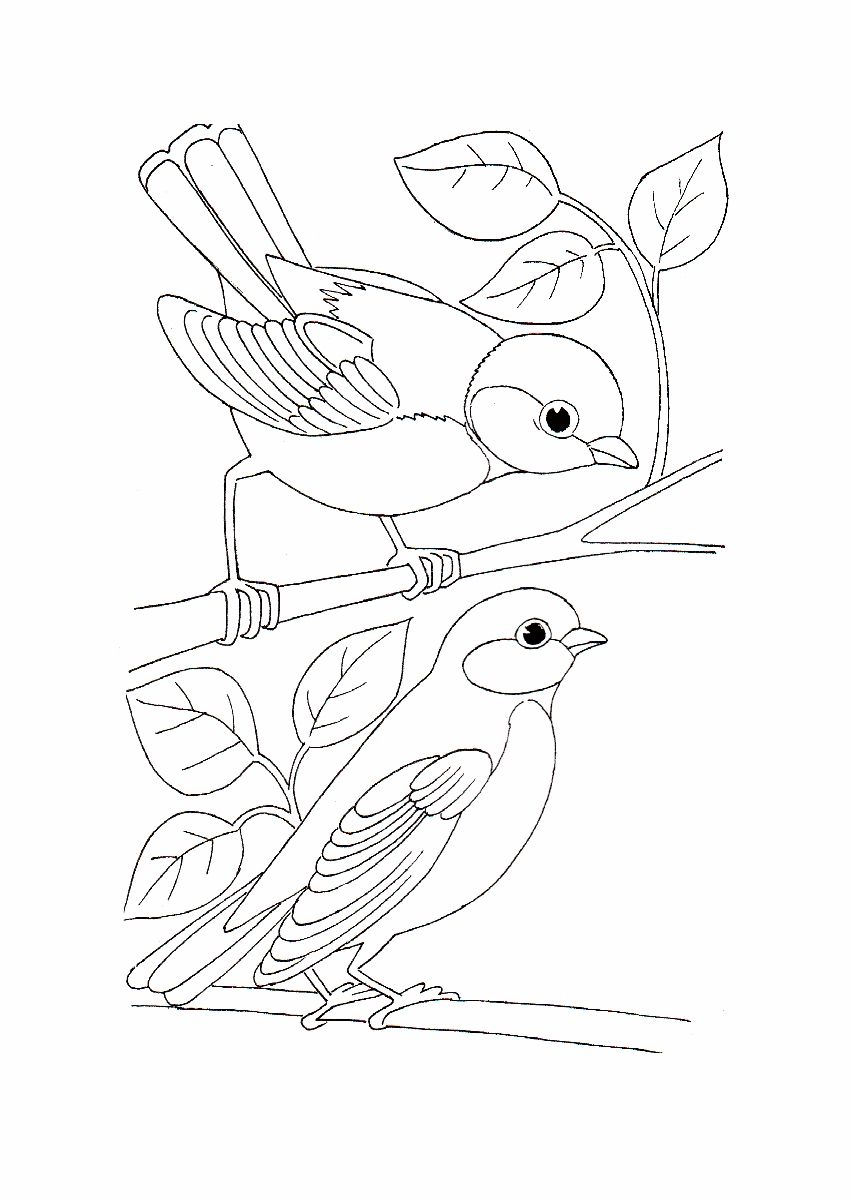 simple bird coloring pages