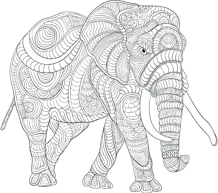 free coloring pages elephant