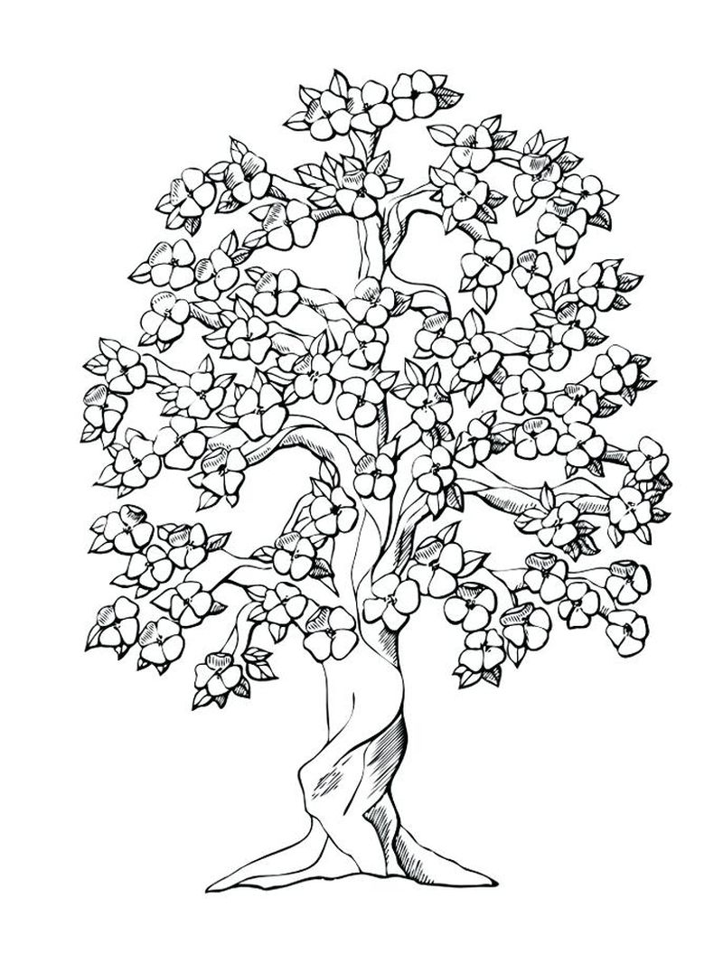 free coloring pages tree