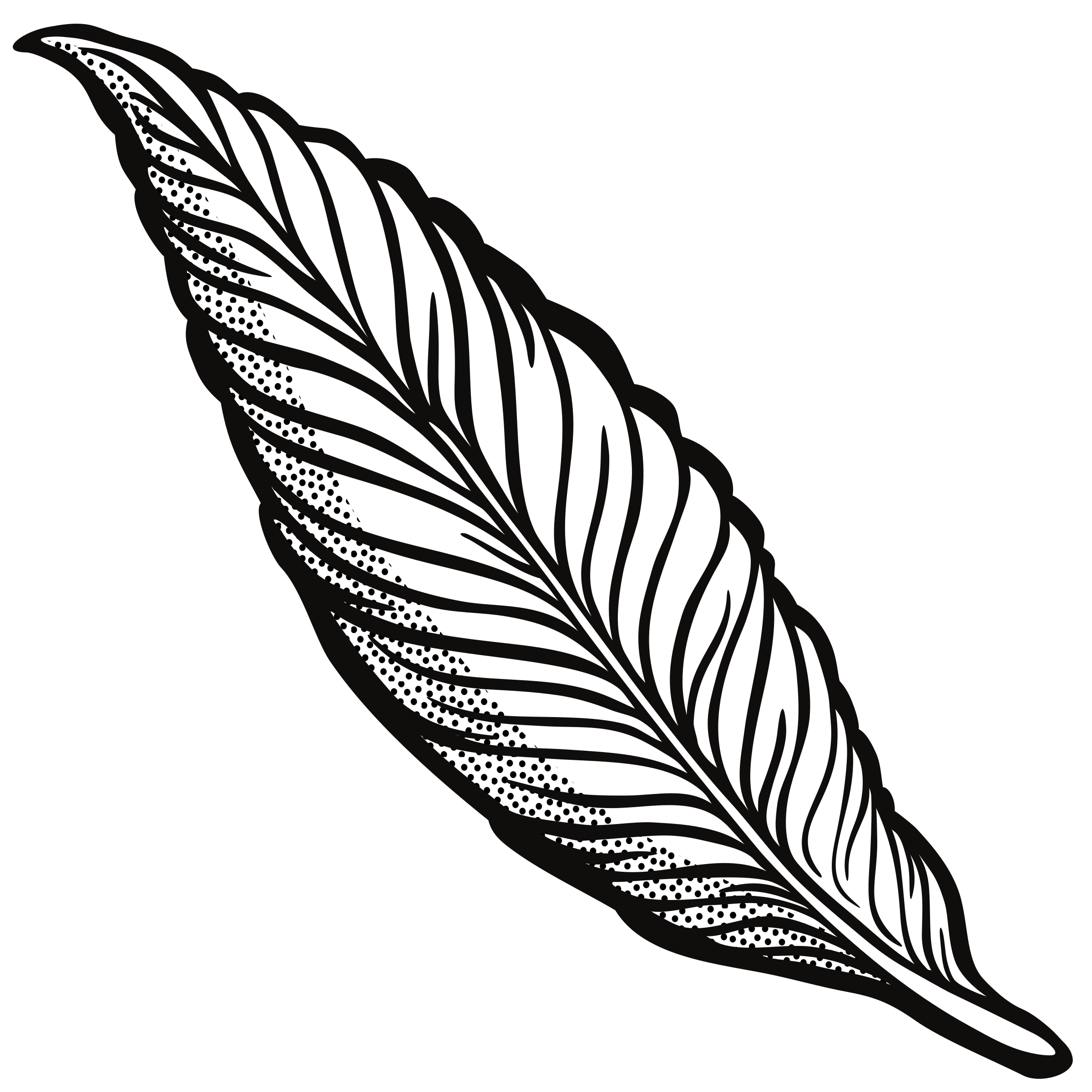 feather coloring pages for adults
