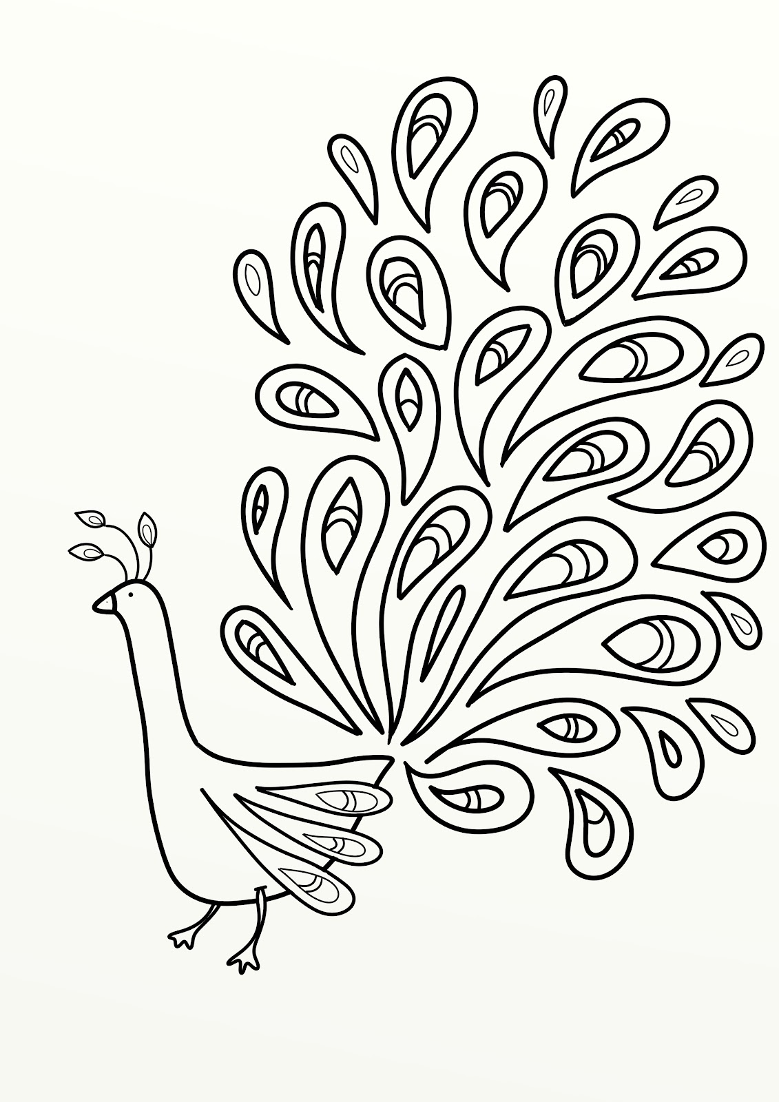 peacock feather coloring pages