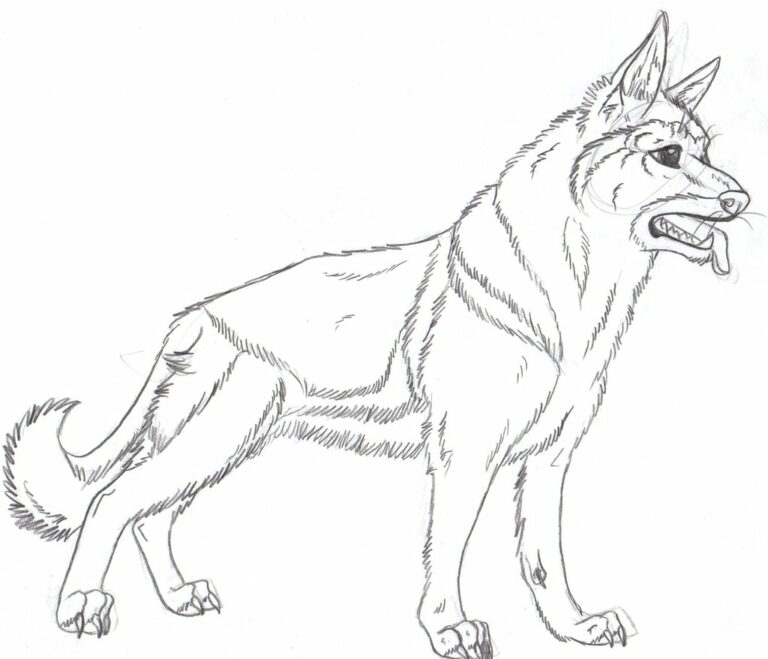 Free German Shepherd Coloring Pages Pdf - Coloringfolder.com