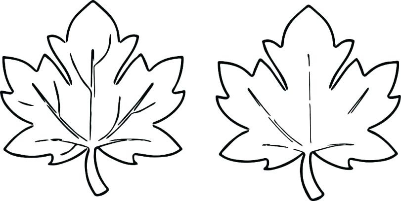 free leaf coloring pages