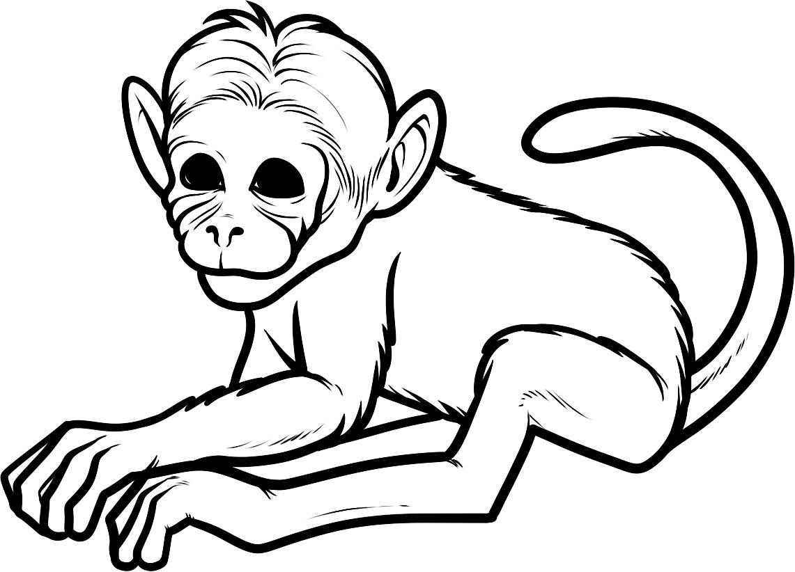 free monkey coloring pages