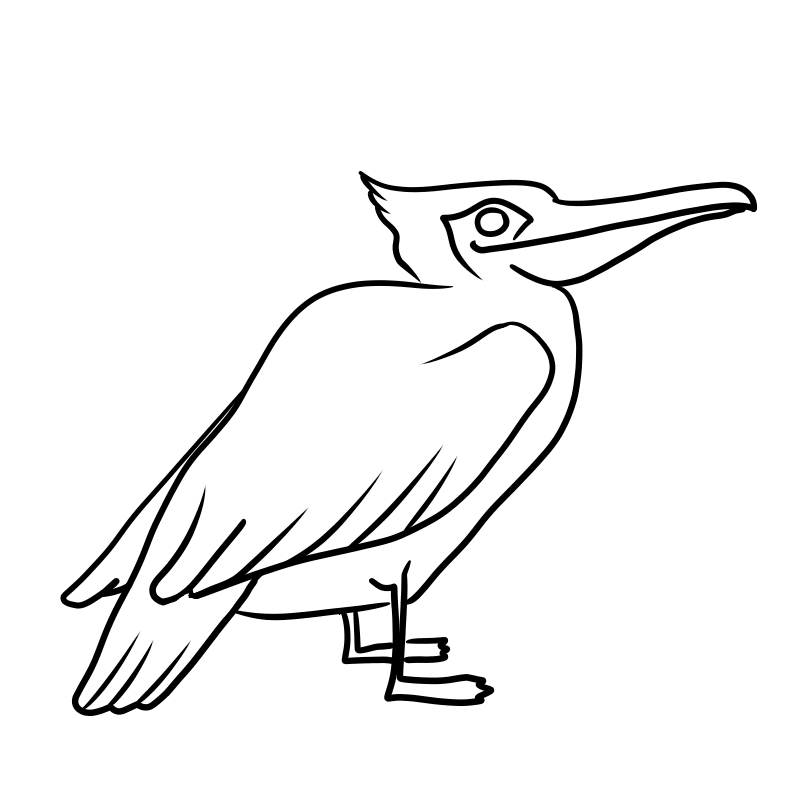 free printable bird coloring page
