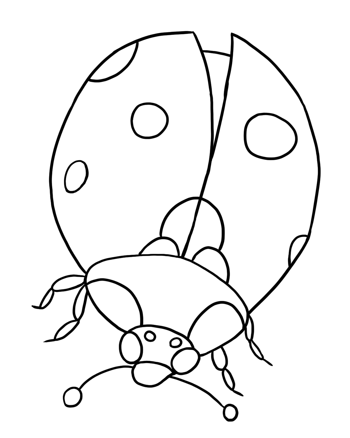 love bug coloring pages
