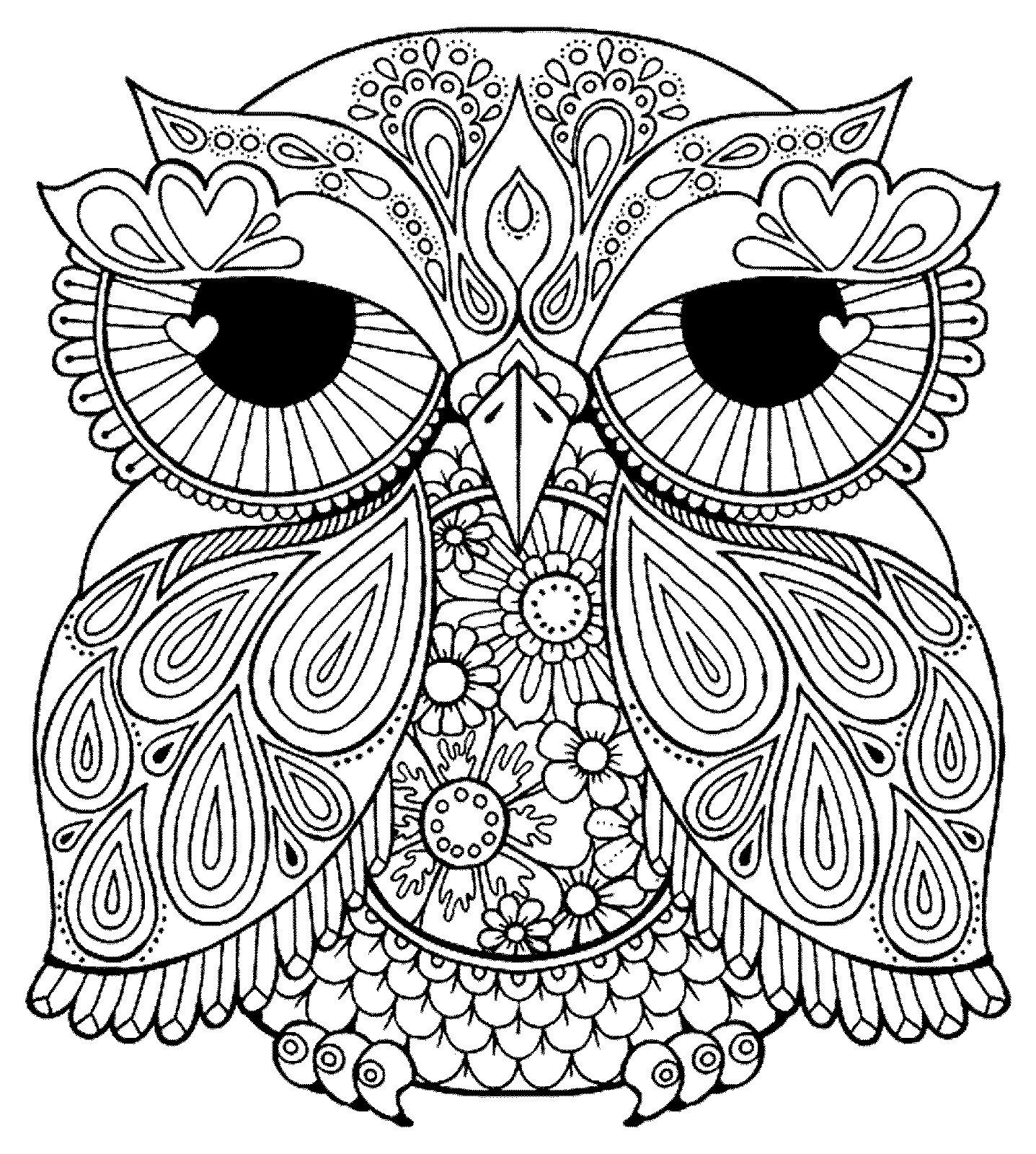 adult coloring pages birds 3 2 adult coloring pages printable