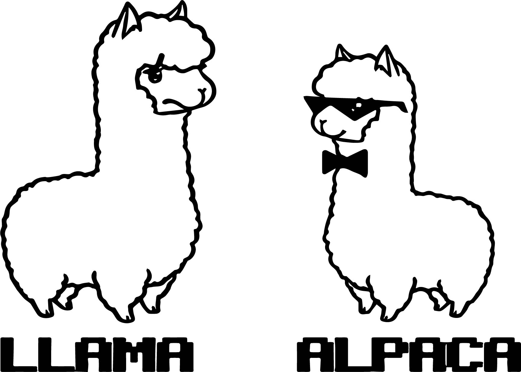 coloring pages llama