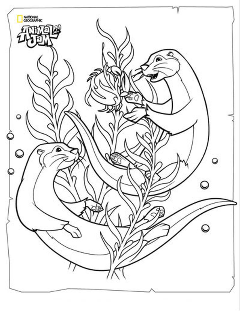 animal jam otter coloring pages bobcat