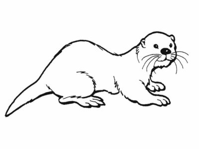 otter coloring pages