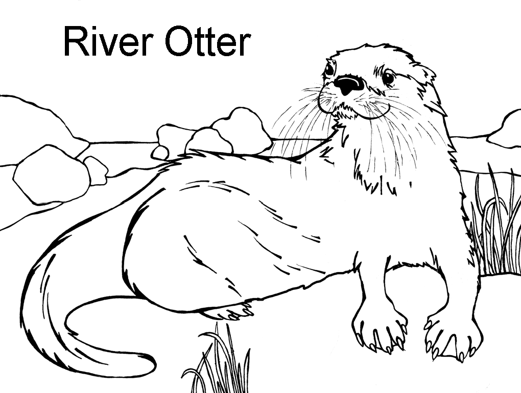 river otter coloring pages