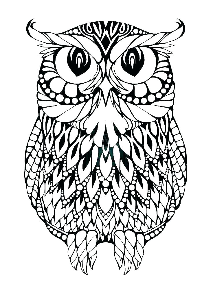 free printable owl coloring pages