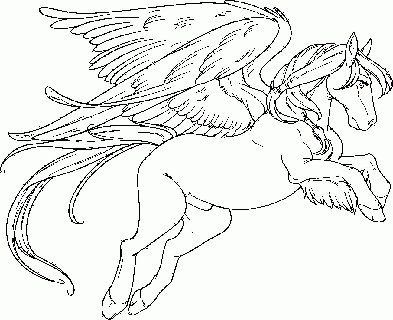 pegasus coloring pages for adults
