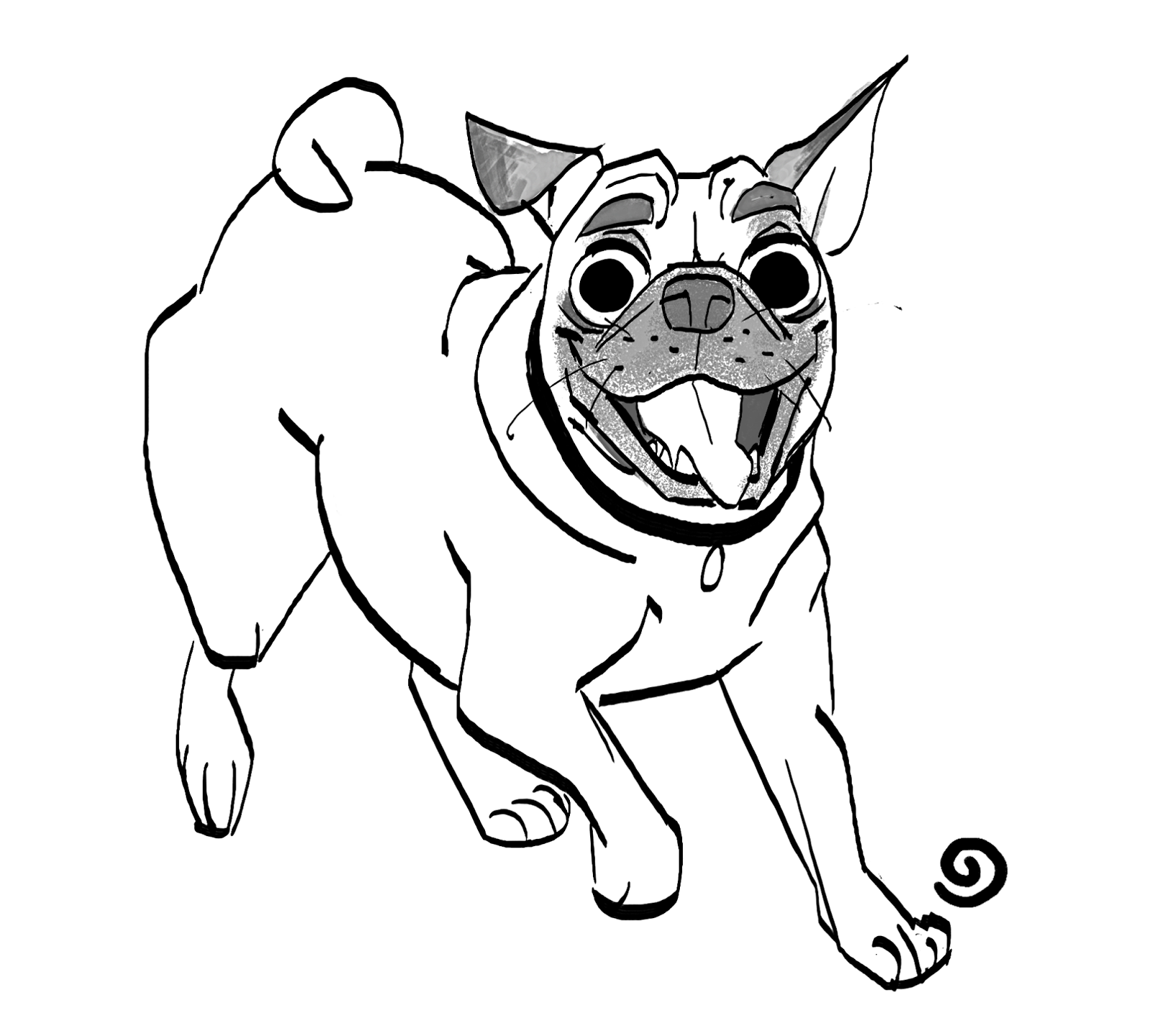 coloring pages pug