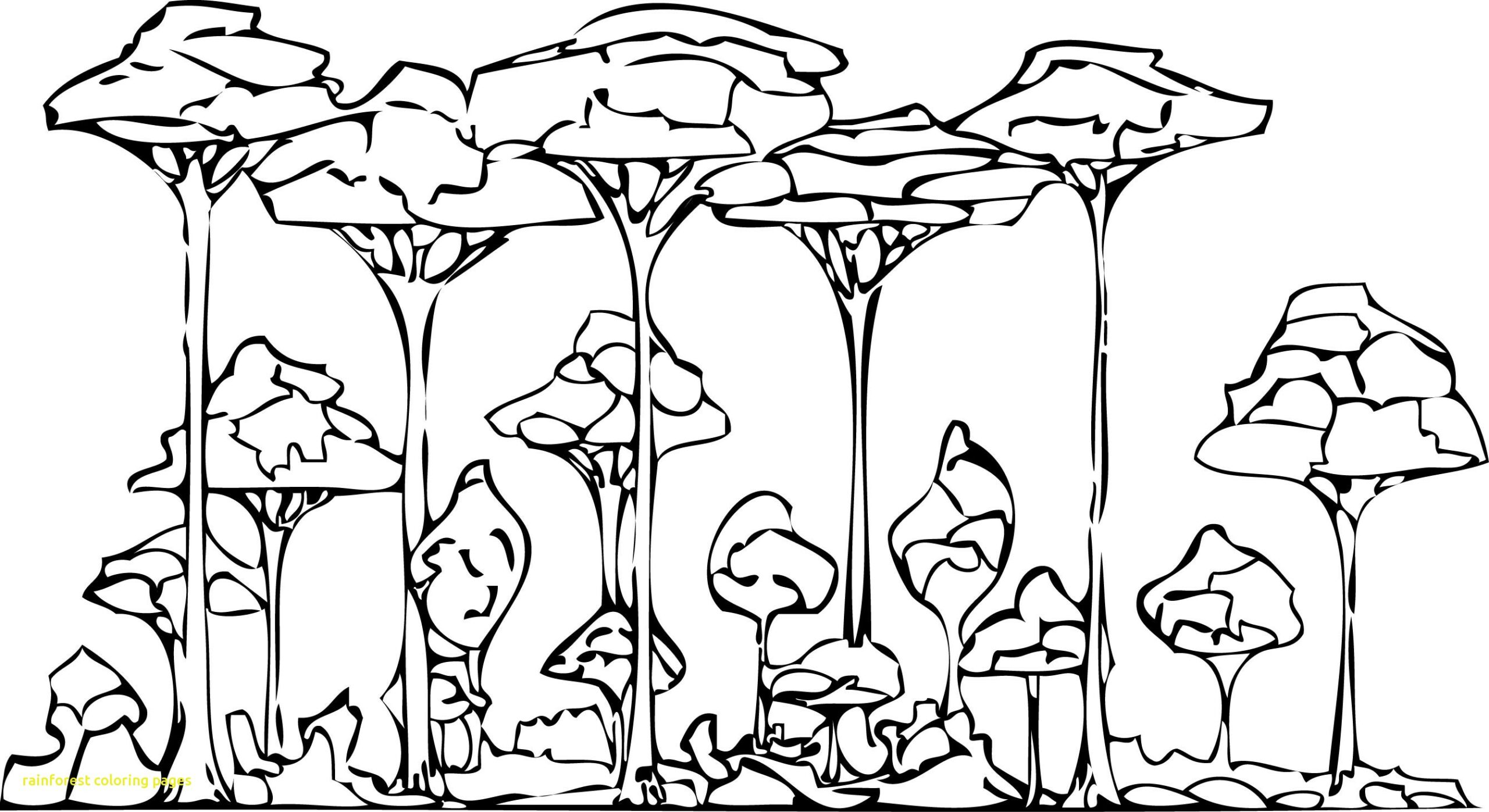 rainforest coloring pages with rainforest coloring page