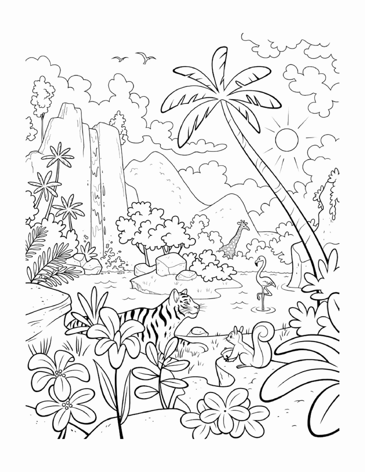 rainforest coloring pages to print