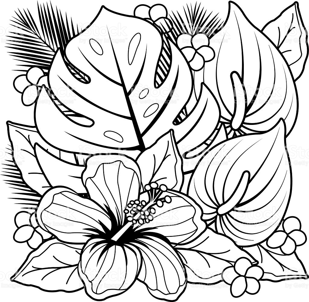 tropical flower coloring pages lovely tropical tree coloring tropical flower coloring pages free