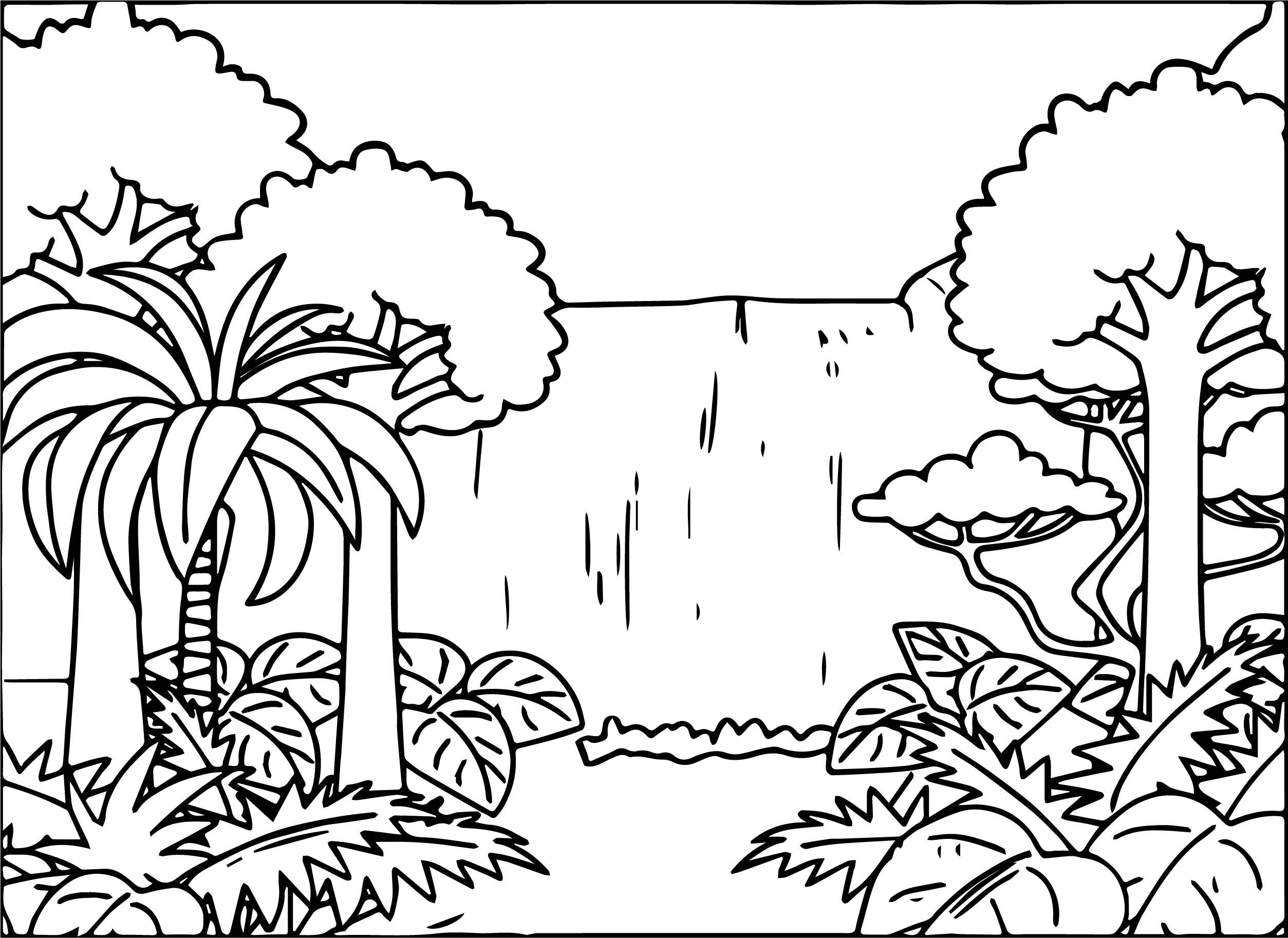 rainforest trees coloring pages