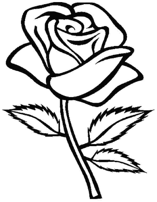 free rose coloring pages printable