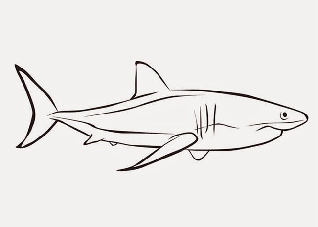 free shark coloring pages to print