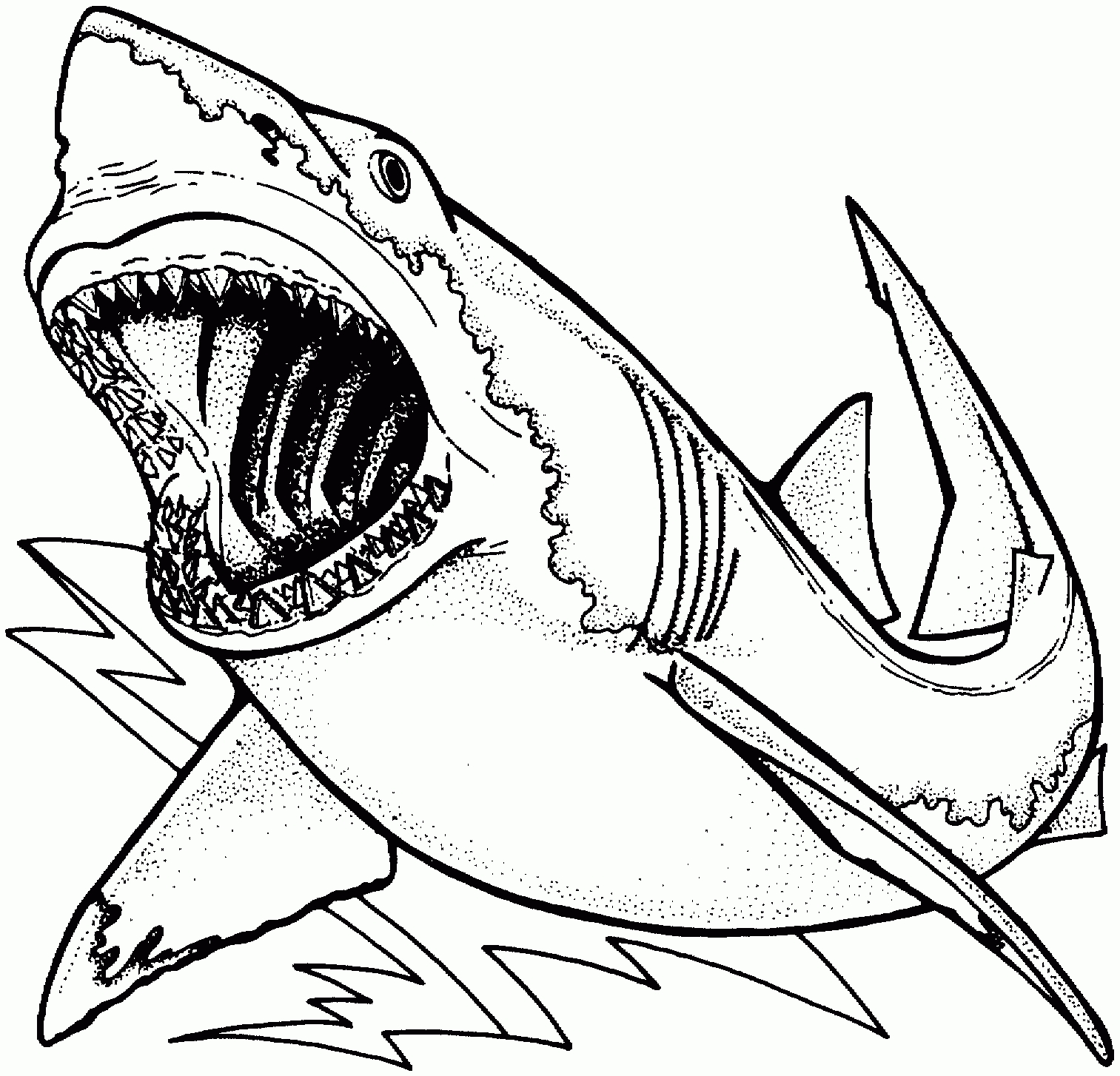 free shark coloring pages