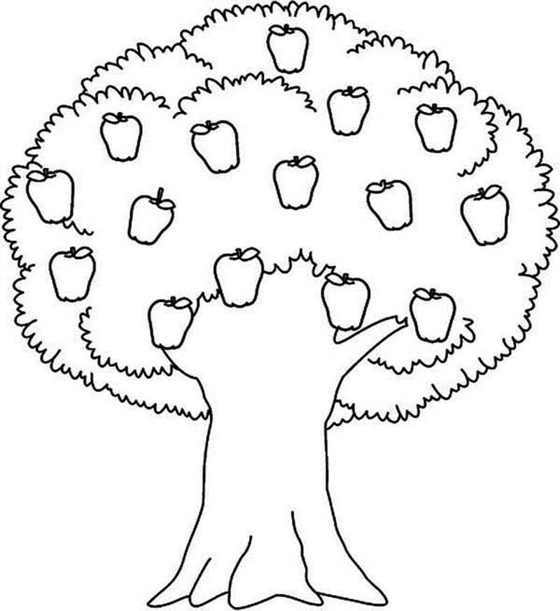 free tree coloring pages for kids