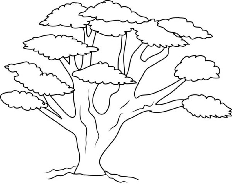 free tree coloring pages