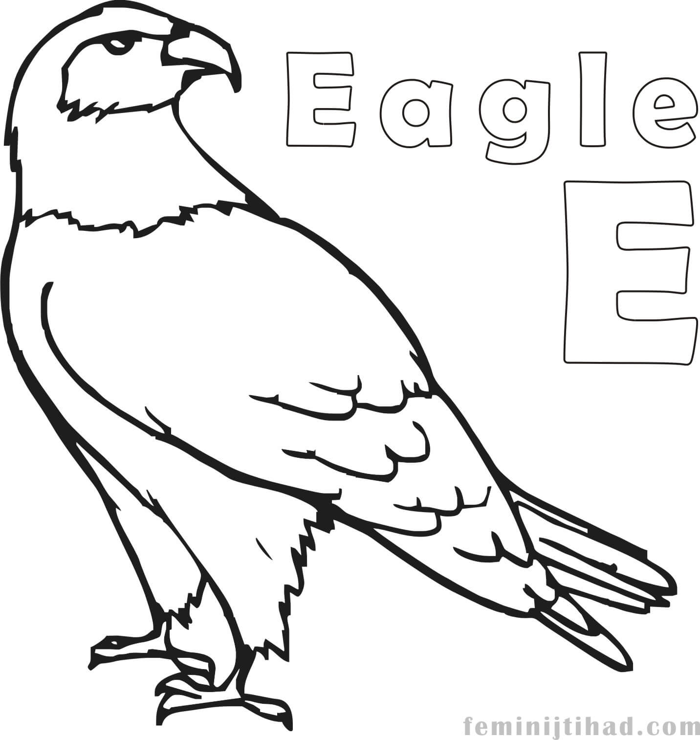 free coloring page of an eagle