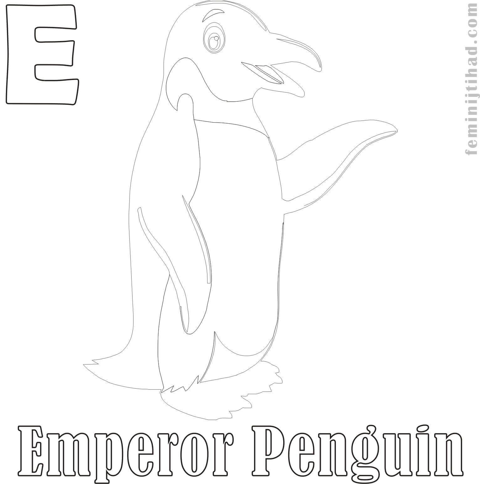 free emperor penguin coloring page printable