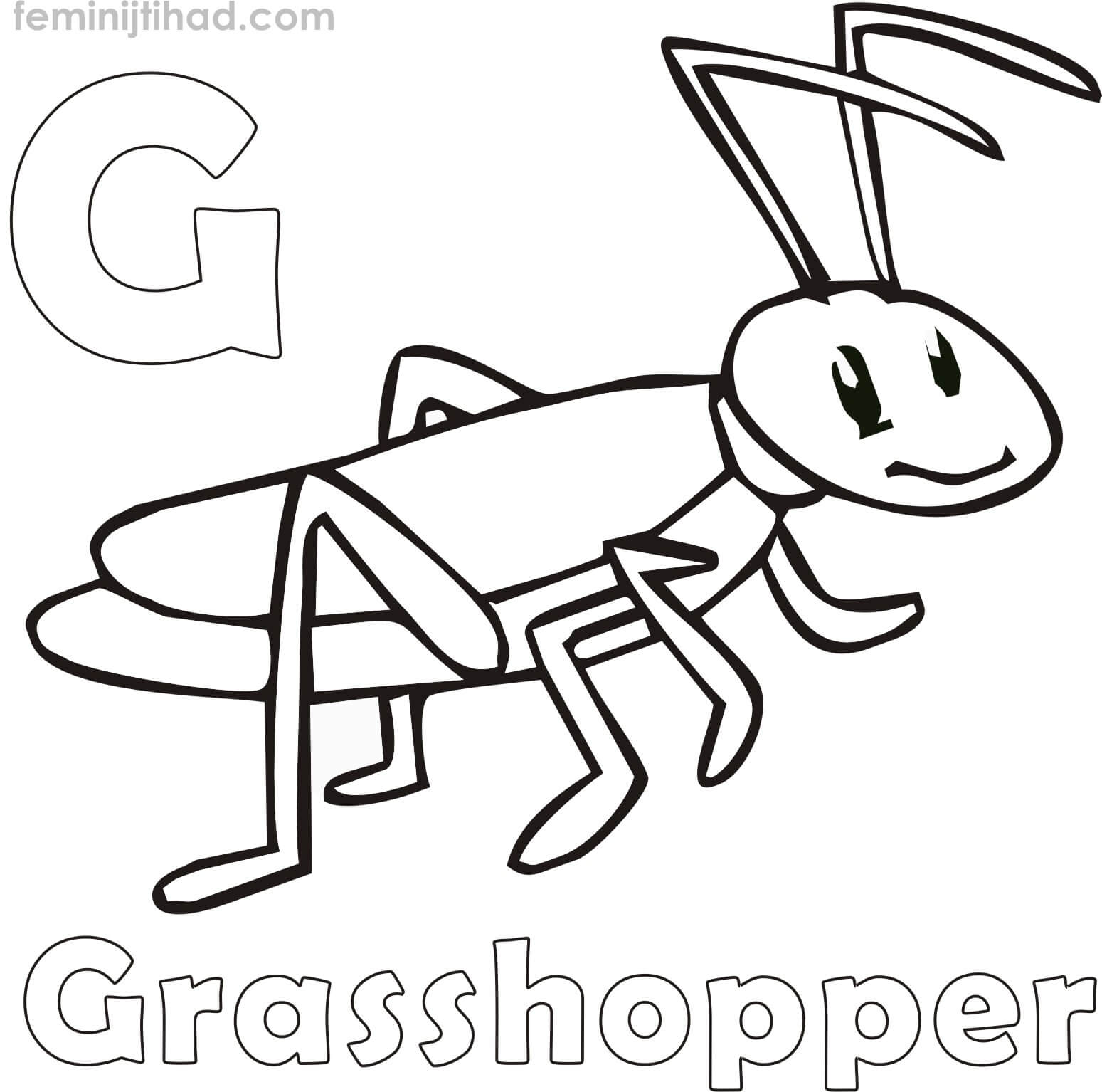 free printable grasshopper coloring page