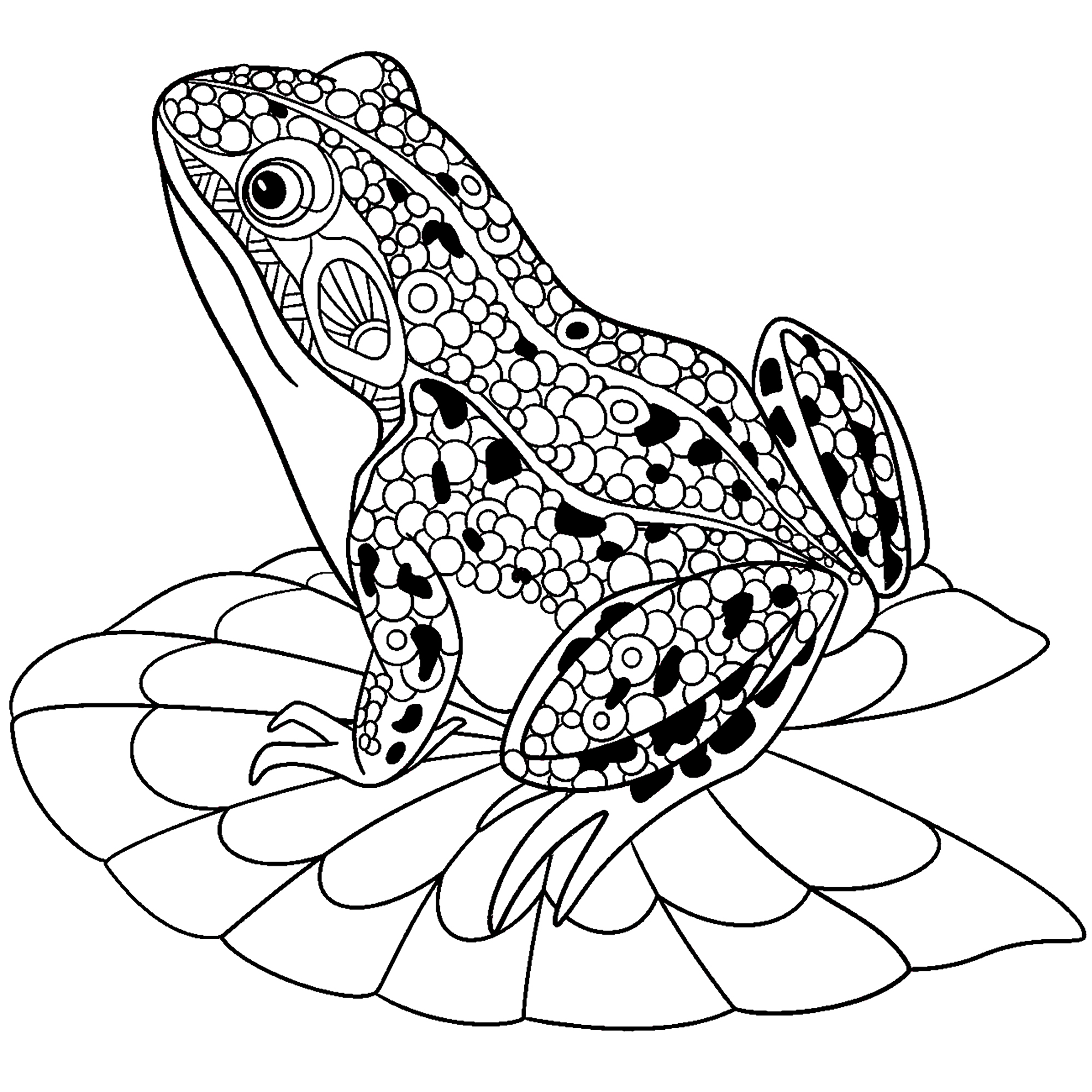 frog coloring pages for adults