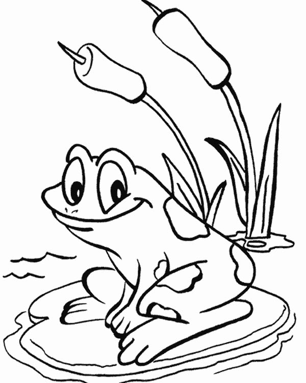 frog coloring pages for kids printable