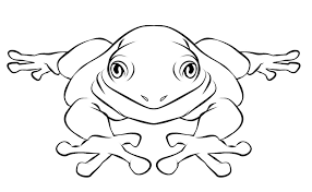 frog coloring pages free printable