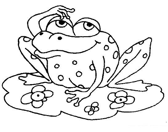 frog printable coloring pages