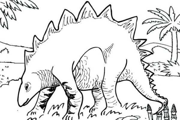 fun stegosaurus coloring page