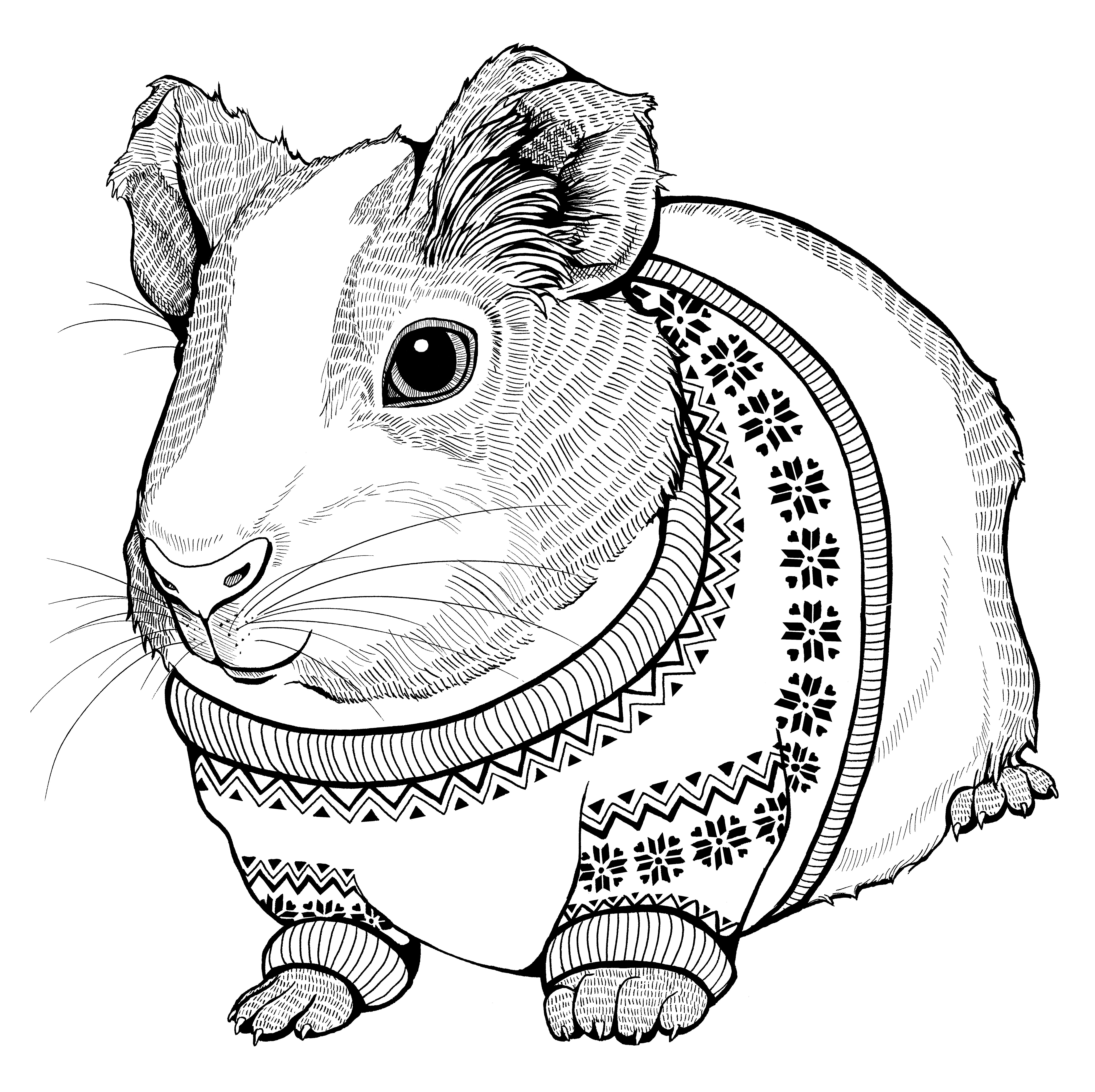 adult coloring guinea pig pages