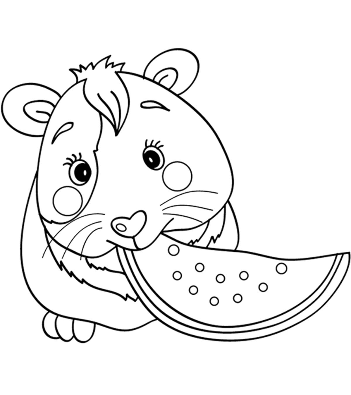 guinea pig coloring pages print