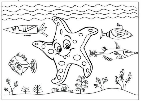 Starfish Coloring Pages PDF Printable - Coloringfolder.com