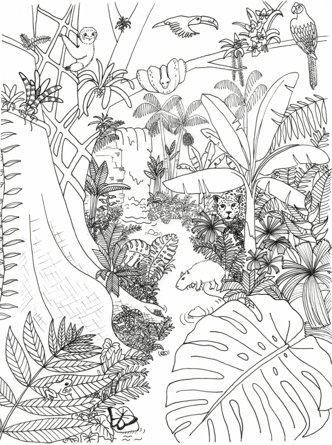 Get Forest Coloring Pages Pdf To Print Here - Coloringfolder.com