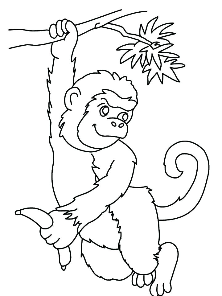 girl monkey coloring pages