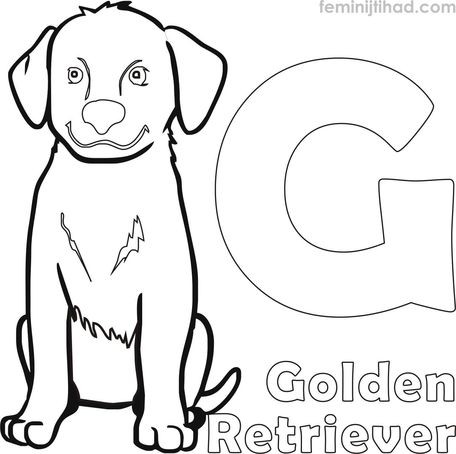 golden retriever coloring pages free
