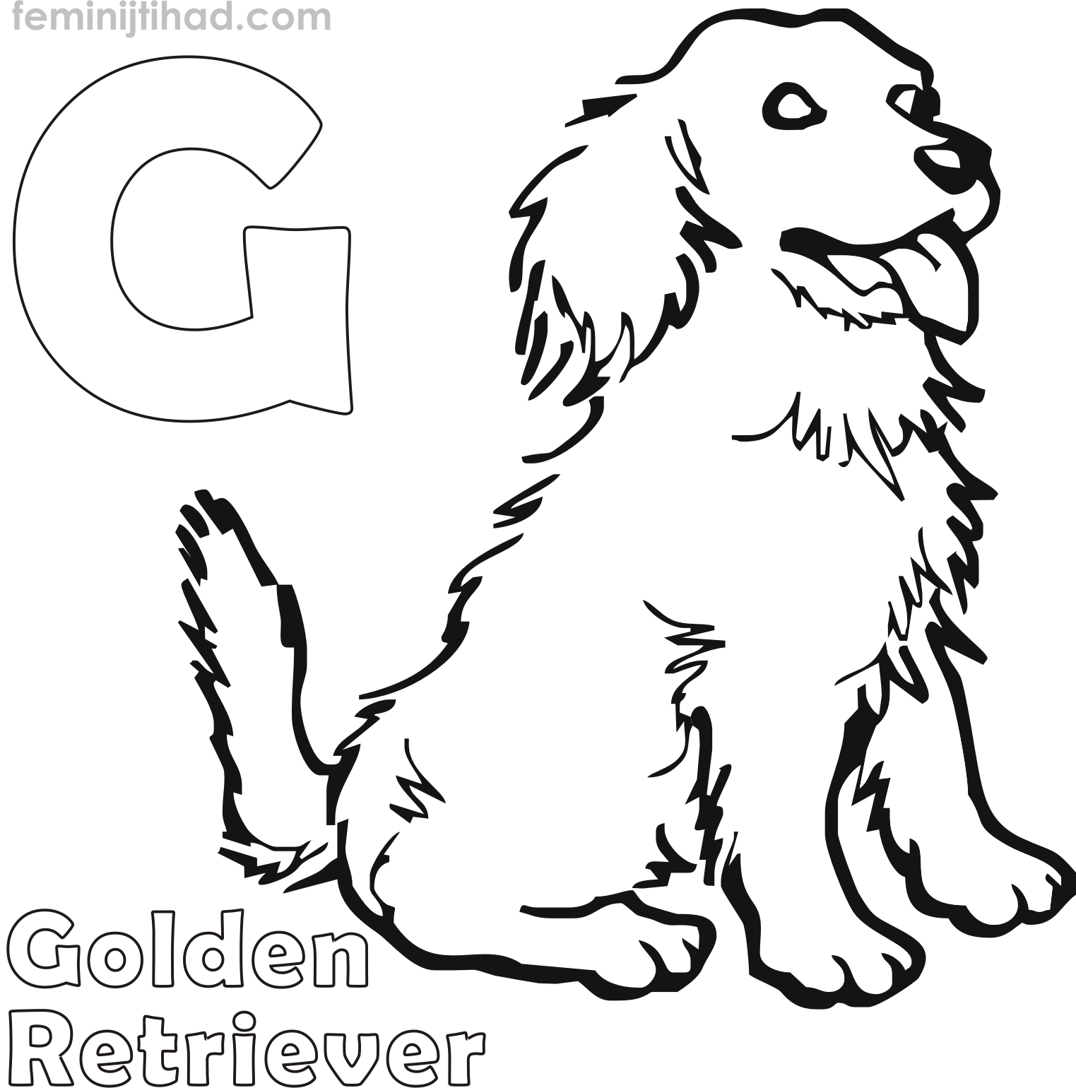 golden retriever coloring pages printable