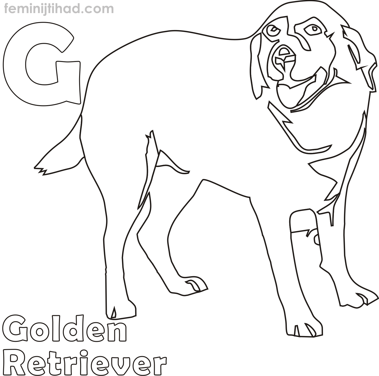 golden retriever coloring pages to print