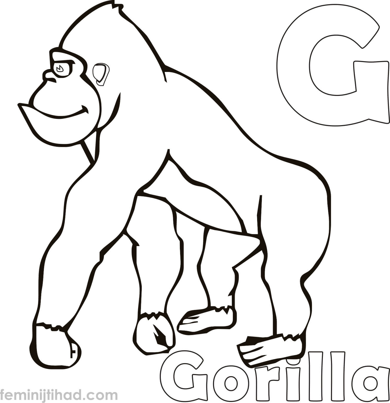 gorilla coloring page printable