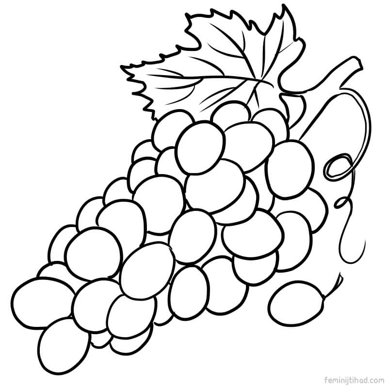 grape coloring images